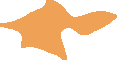 تهران