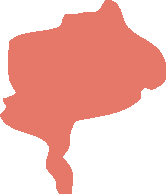 یزد
