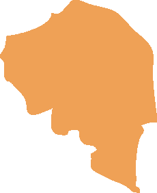 کرمان